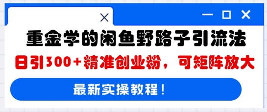 重金学的闲鱼野路子引流法，日引300+精准创业粉，可矩阵放大-东方大师-轻创终点站